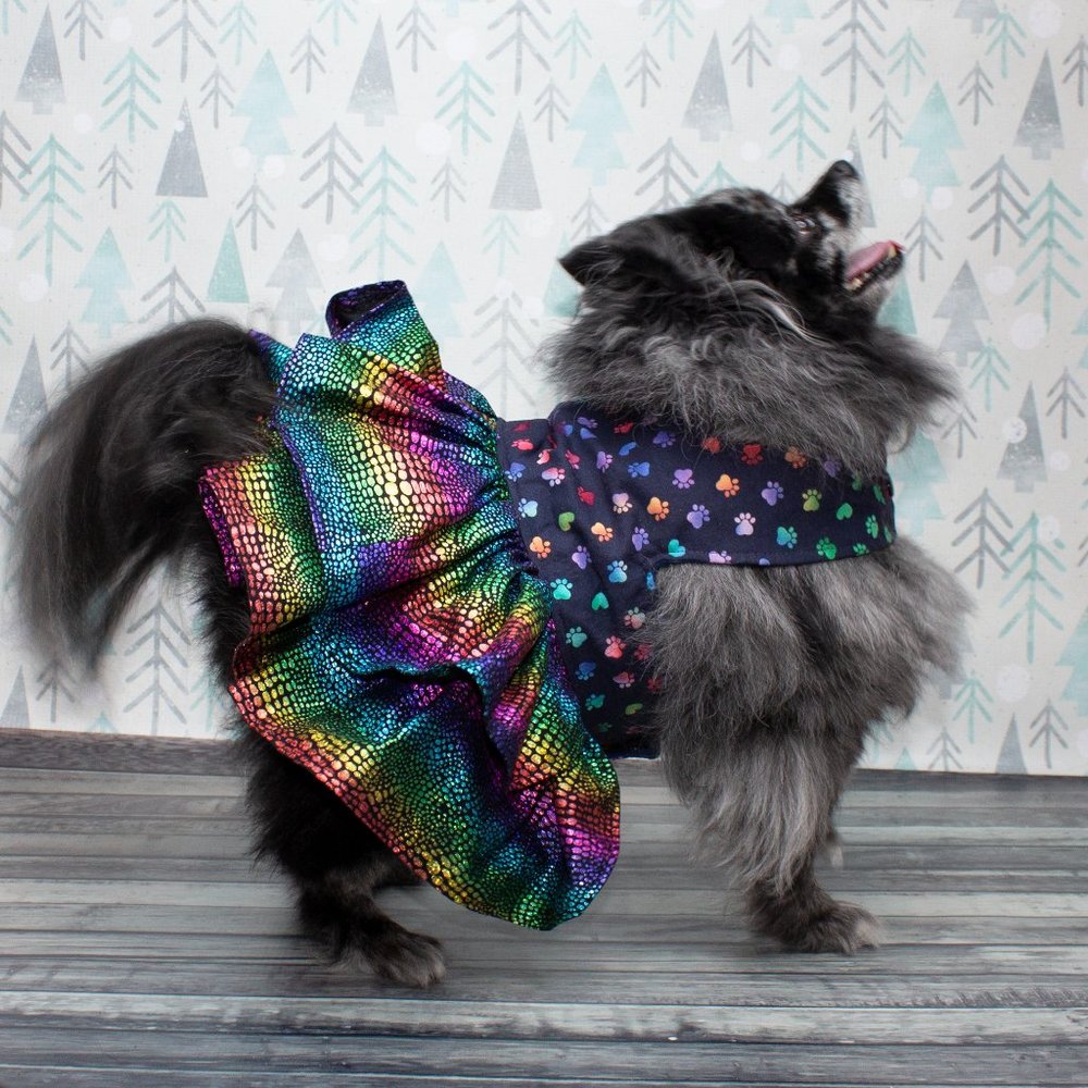 Thread 9 | True Colors Pride Dress | Small Medium Large Dogs | Gift - Picture 2 of 7